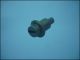 KNOB VTR-1 BLACK ф11mm L13mm FOR TRIMMER