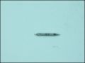 ЦЕНТРОВО СВРЕДЛО A Ф 1,25/3mm HSS