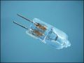 HALOGEN LAMP G4 L 22mm 6V 10W