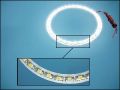 LED LINE LED-L 21-LED Ф70 12V WHITE