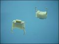 MICRO BUTTON TS03-043w OFF-(ON) 2-PIN PCB-P