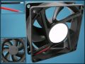 ВЕНТИЛАТОР 80x80x25mm 12V В 2P