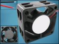 ВЕНТИЛАТОР 40x40x20mm 24V FM4020D24HSL В 2P