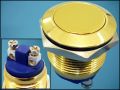 BUTTON V19-10-G OFF-(ON) 2-PIN WATER PROOF