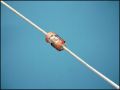 C 330nF 50V ф2,3mm L4,3mm