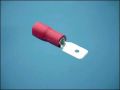 TERMINAL M MDD1,25-250 6,3x0,8mm INS RED